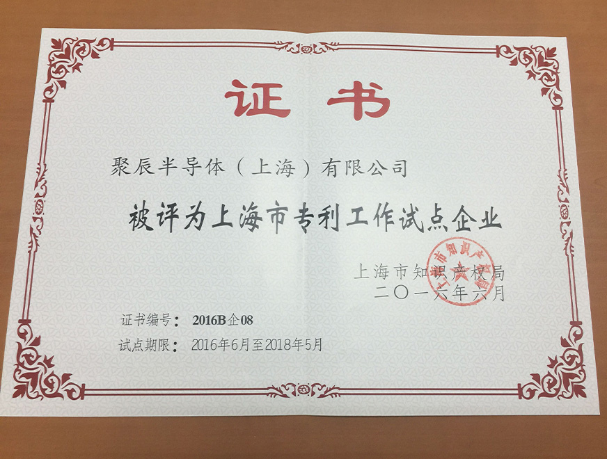  2016年尊龙凯时获得上海市专利工作试点企业