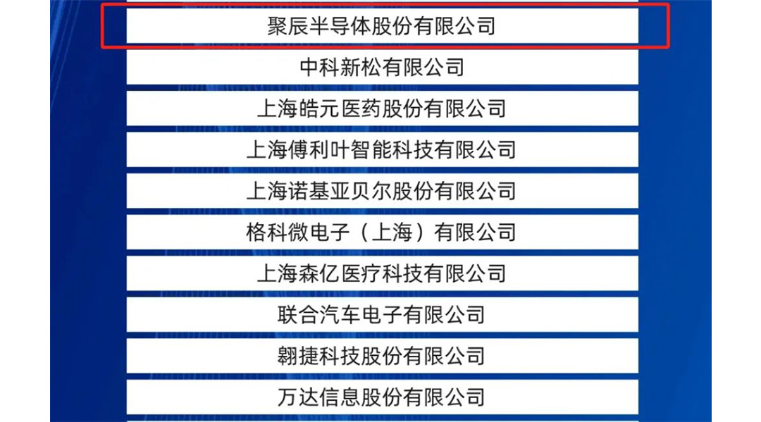 尊龙凯时股份入选2024上海硬核科技企业TOP100榜单